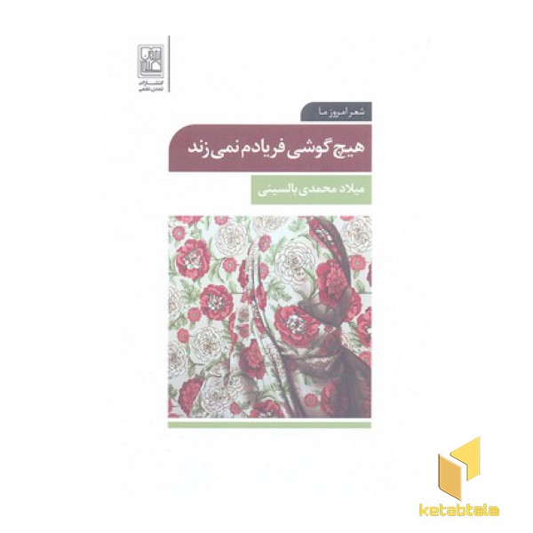 هیچ گوشی فریادم نمی زند