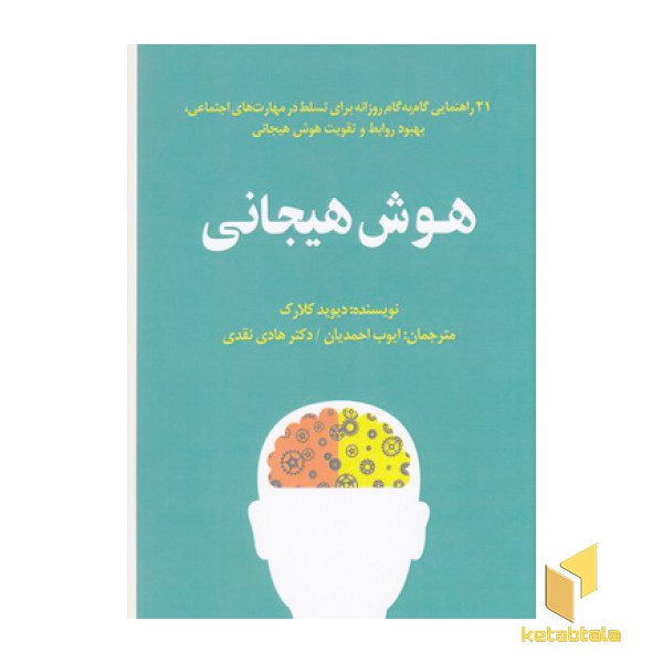 هوش هیجانی