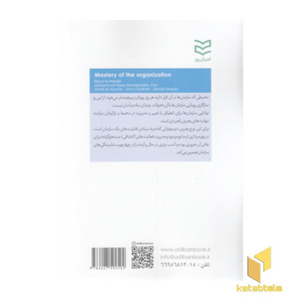 تسلط بر سازمان