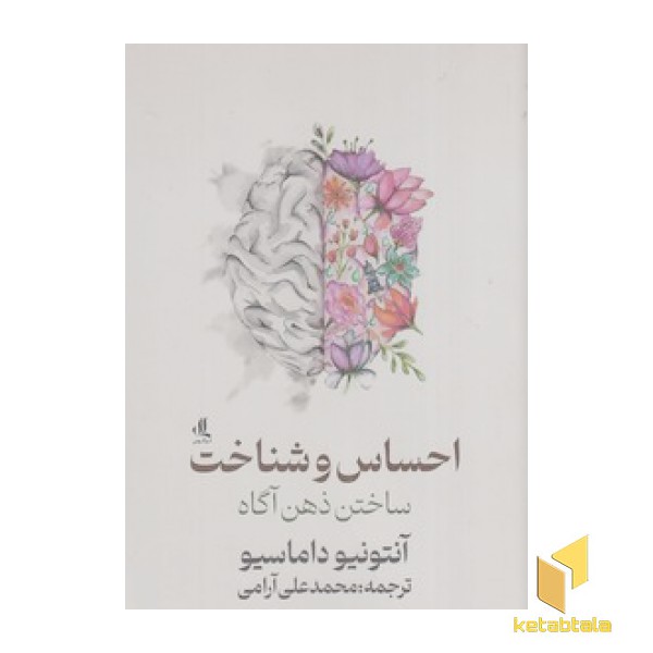 احساس و شناخت