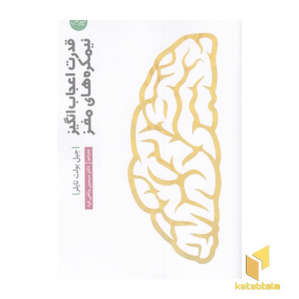 قدرت اعجاب انگیز نیمکره های مغز