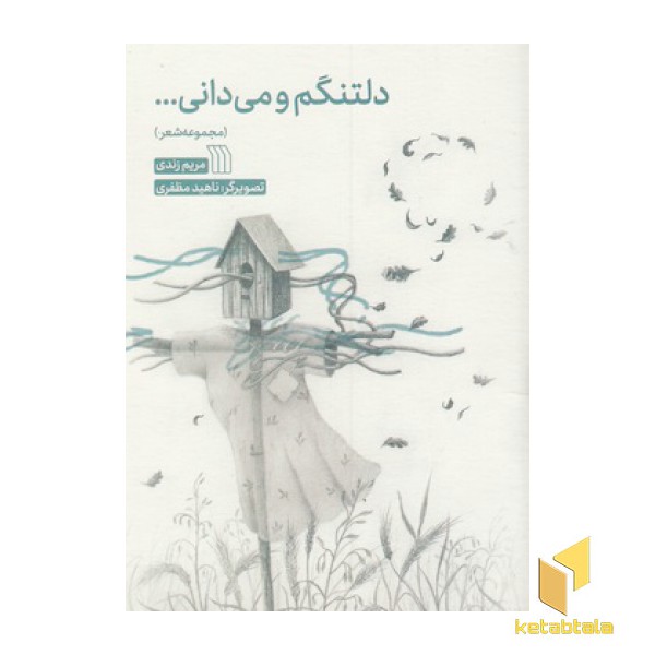 دلتنگم و می دانی...