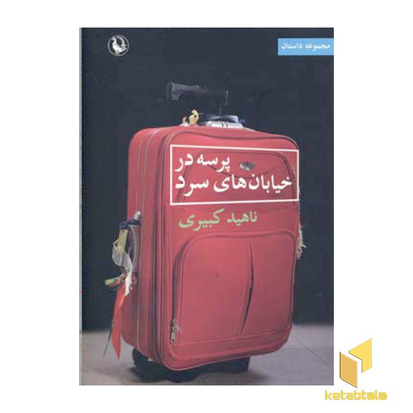 پرسه در خیابان های سرد