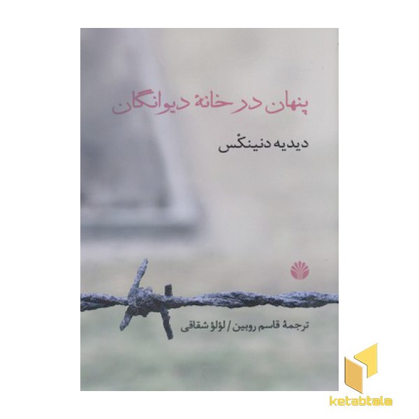 پنهان در خانه دیوانگان