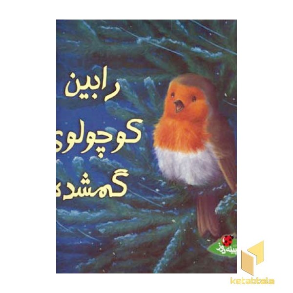 رابین کوچولوی گمشده