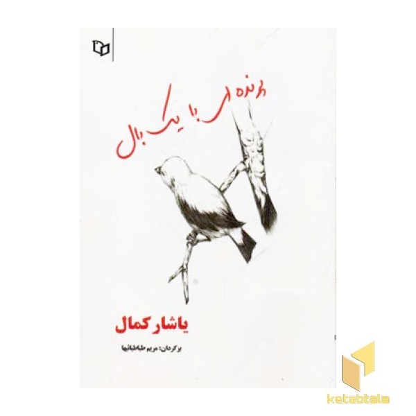 پرنده ای با یک بال