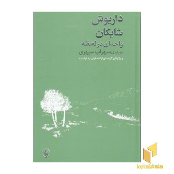 داریوش شایگان(واحه ای در لحظه)
