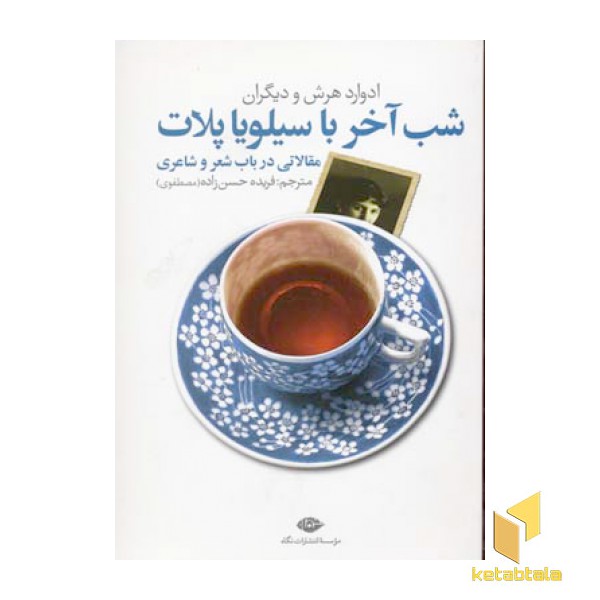 شب آخر با سیلویا پلات