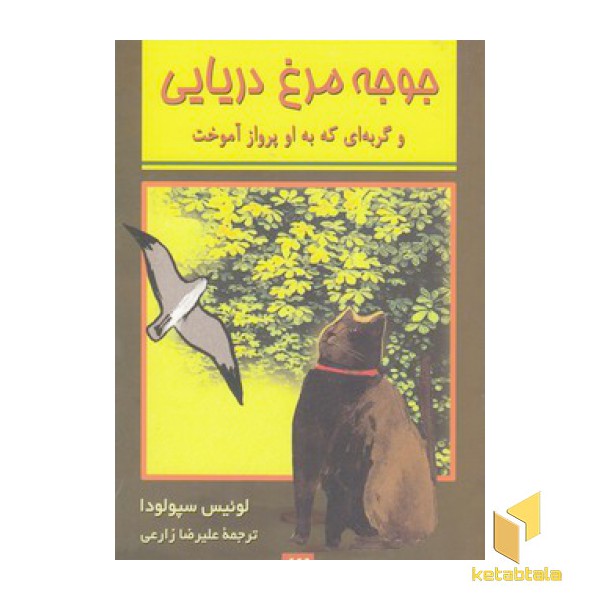 جوجه مرغ دریایی
