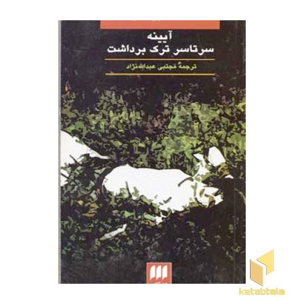 آیینه سرتاسر ترک برداشت