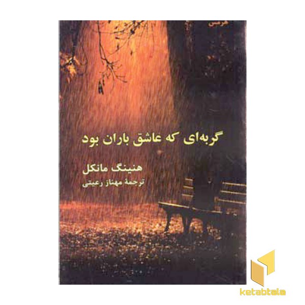 گربه ای که عاشق باران بود