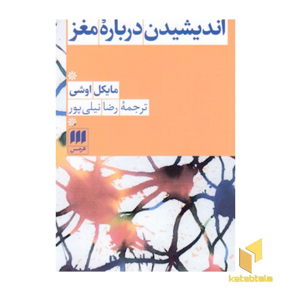 اندیشیدن درباره مغز