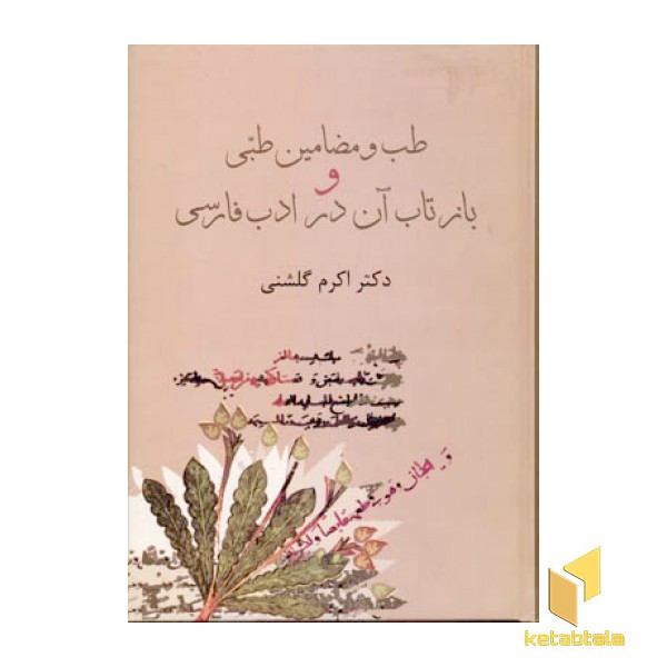 طب و مضامین طبی و بازتاب آن در ادب فارسی
