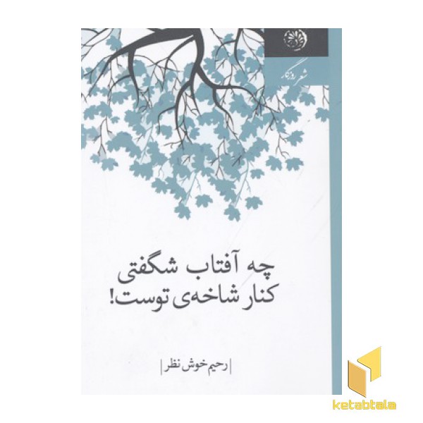 چه آفتاب شگفتی کنار شاخه توست