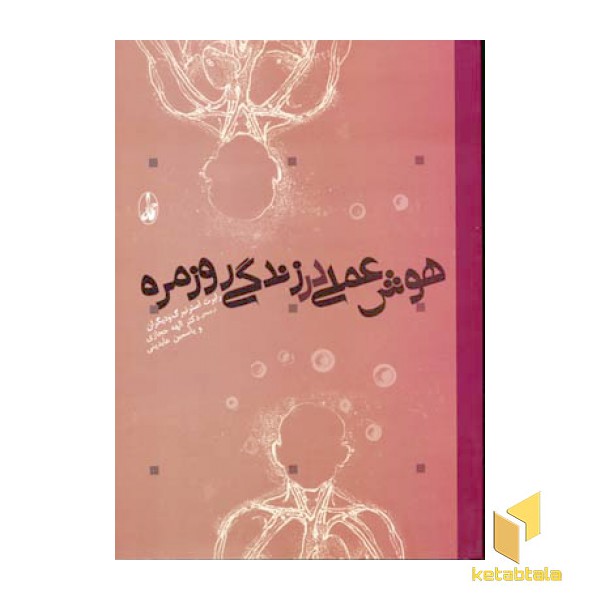 هوش عملی در زندگی روزمره