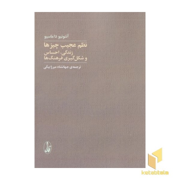 نظم عجیب چیزها زندگی احساس