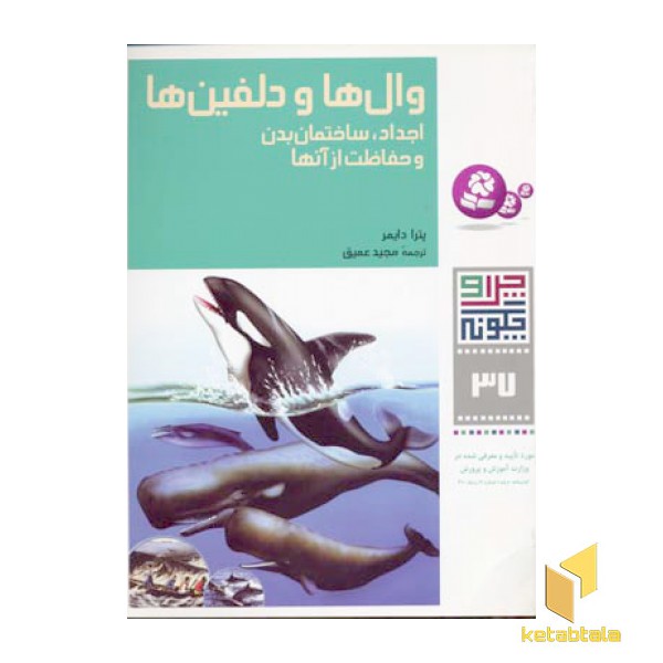 وال ها و دلفین ها - چرا و چگونه(37)