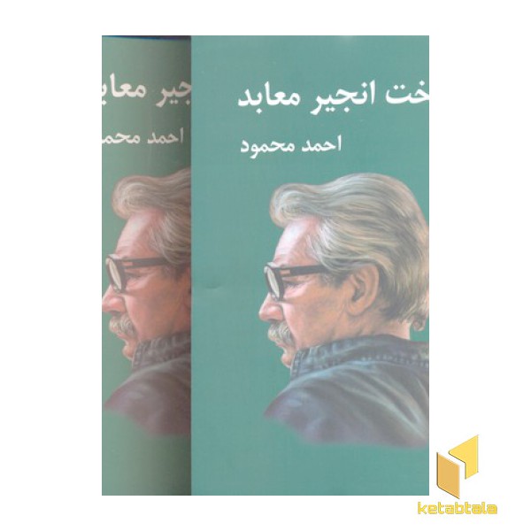 درخت انجیر معابد