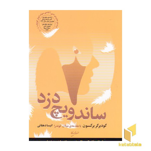 ساندویچ دزد