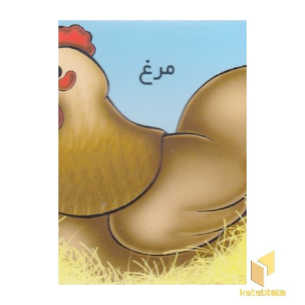 آموزش خردسال-مرغ