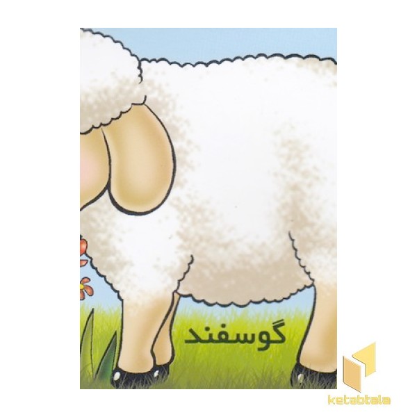 آموزش خردسال-گوسفند