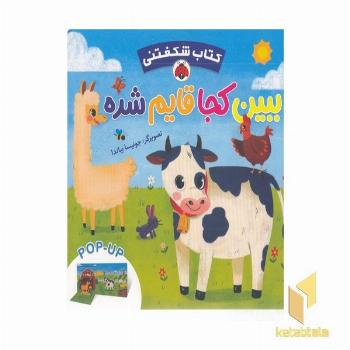 کتاب شکفتنی-ببین کجا قایم شده