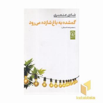 گمشده به باغ شازده میرود (مجموعه داستان)