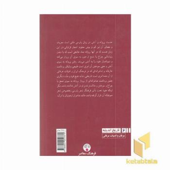 پروانه و آتش