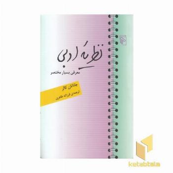 نظریه ادبی