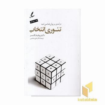 تئوری انتخاب