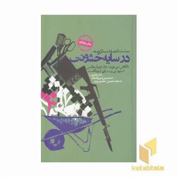 در سایه خشونت- سیاست اقتصاد و مسائل توسعه