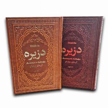 دزیره دو جلدی