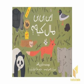 این پی پی مال کیه؟