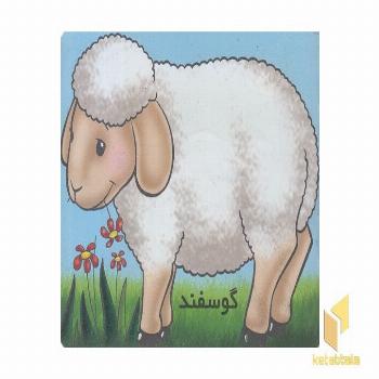 آموزش خردسال-گوسفند