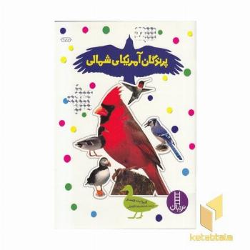 بچسبان و بیاموز (18) پرندگان آمریکای شمالی