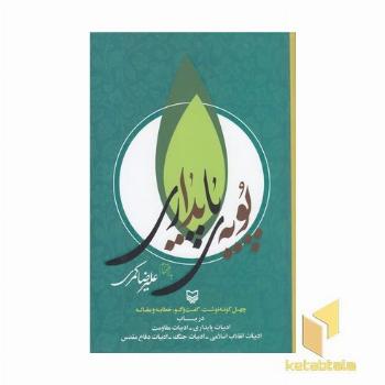 پویه پایداری