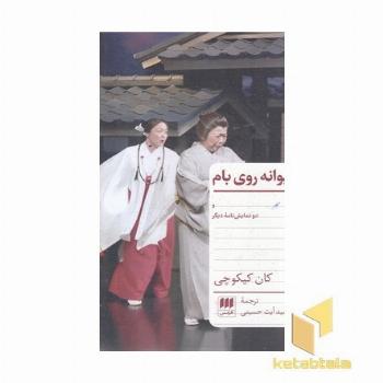دیوانه روی بام