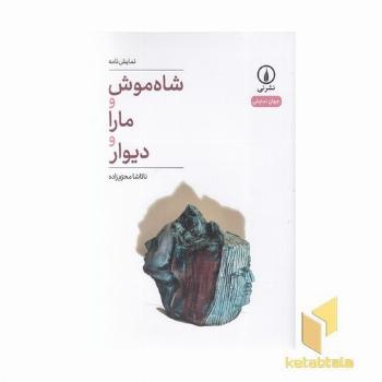 شاه موش و مارا و دیوار