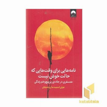 نامه هایی برای وقت هایی که حالت خوش نیست