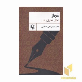 مجاز تطوّر، تحلیل و نقد