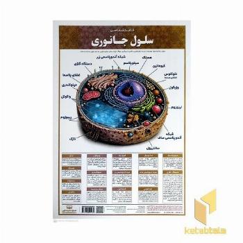 لمینت کالبد شناسی سلول جانوری