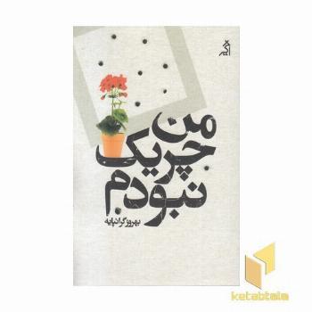 من چریک نبودم