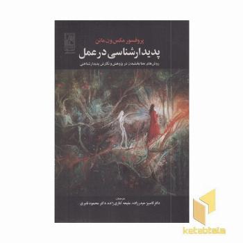 پدیدارشناسی در عمل