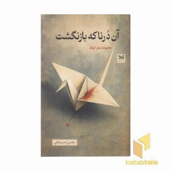 ان درنا که بازنگشت