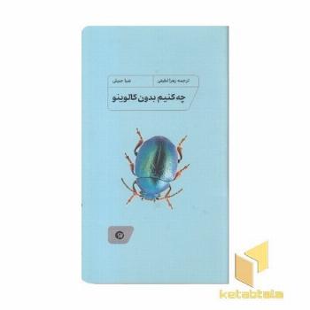 چه کنیم بدون کالوینو