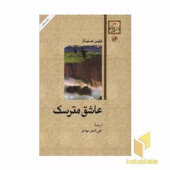 داستان های خارجی(23)عاشق مترسک