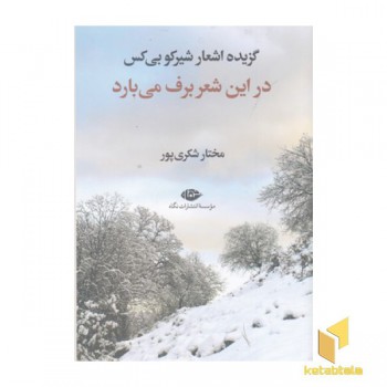 گزیده اشعار شیرکو بی کس