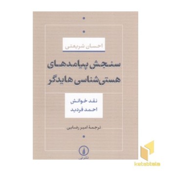 سنجش پیامدهای هستی شناسی هایدگر