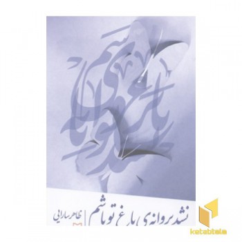 نشد پروانه باغ تو باشم