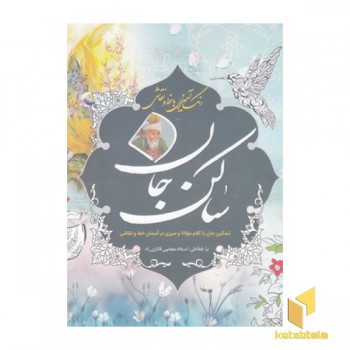 رنگ آمیزی بزرگسال-ساکن جان